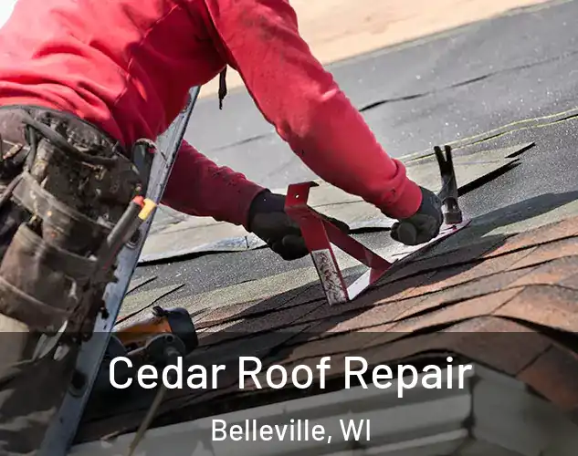 Cedar Roof Repair Belleville, WI