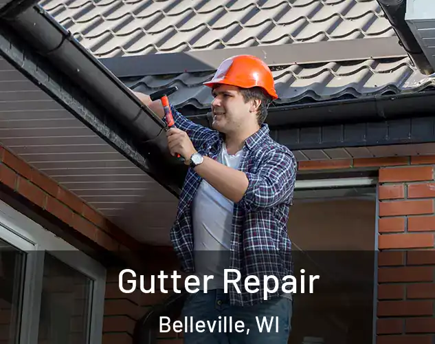  Gutter Repair Belleville, WI