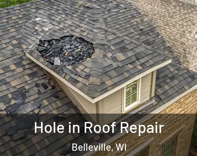  Hole in Roof Repair Belleville, WI