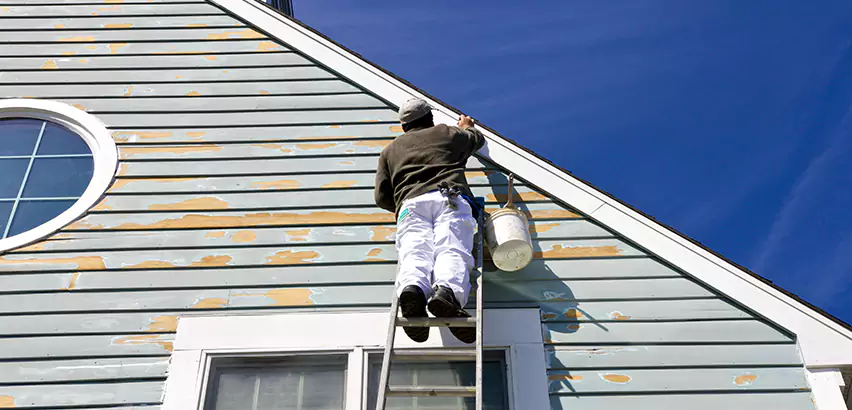 Professional Roof and Siding Repair Services in Belleville, WI