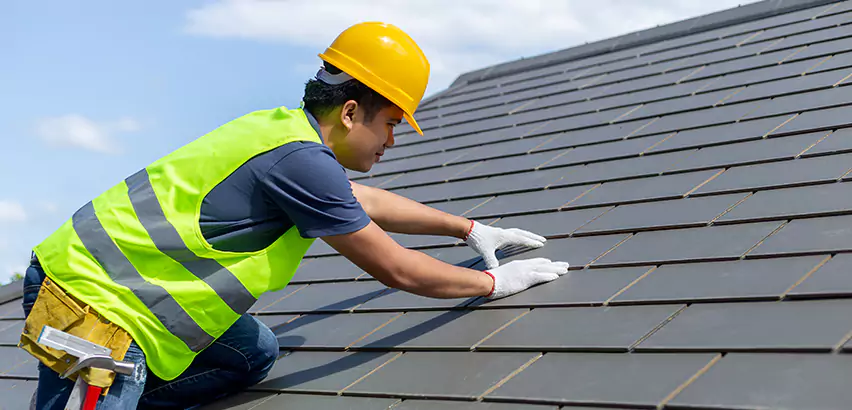 Dimensional Shingle Installation in Belleville
