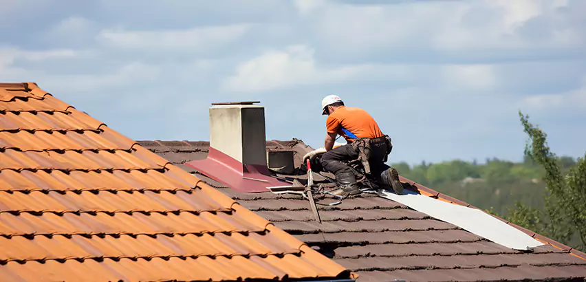 Cedar Roof Maintenance in Belleville