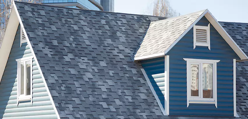 Shingle Roof Maintenance in Belleville