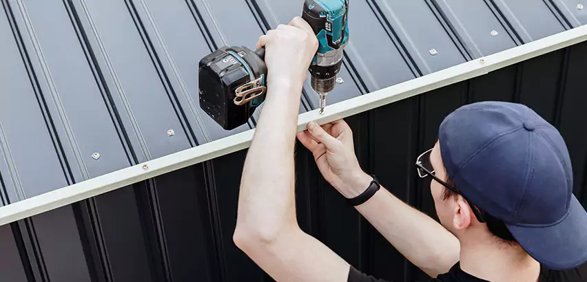 Tin Shed Roof Repair in Belleville