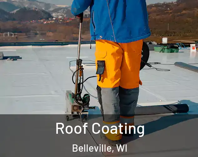  Roof Coating Belleville, WI