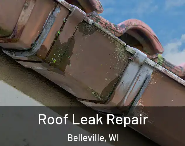  Roof Leak Repair Belleville, WI