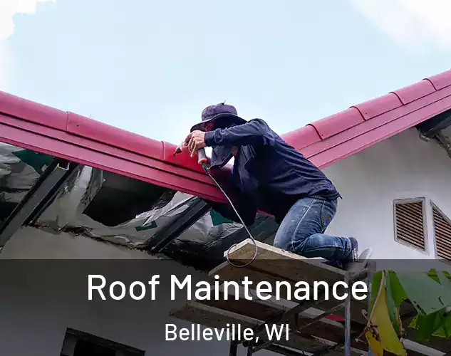  Roof Maintenance Belleville, WI