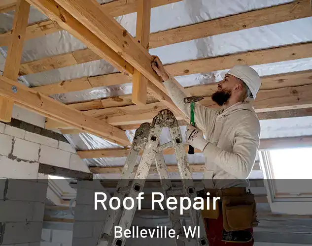 Roof Repair Belleville, WI