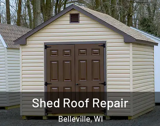  Shed Roof Repair Belleville, WI