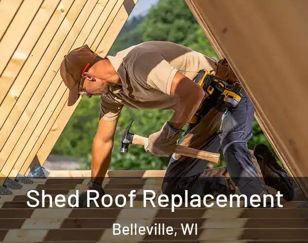  Shed Roof Replacement Belleville, WI