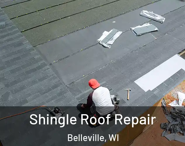  Shingle Roof Repair Belleville, WI