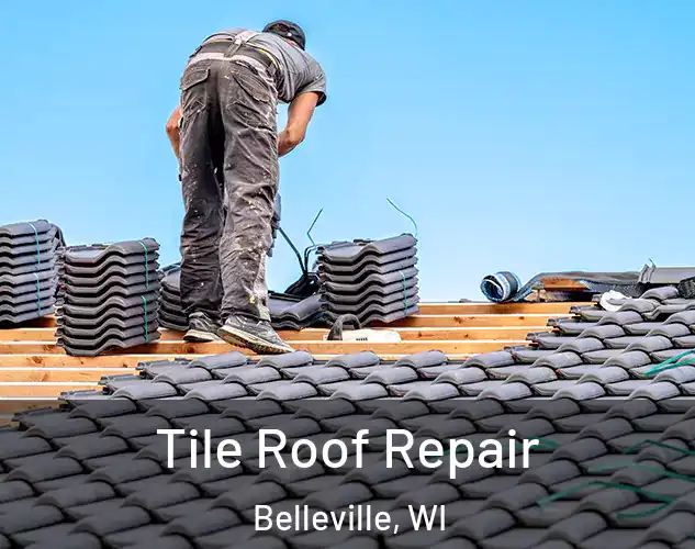  Tile Roof Repair Belleville, WI