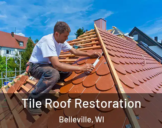  Tile Roof Restoration Belleville, WI